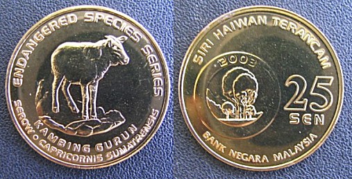 Loading coin image...